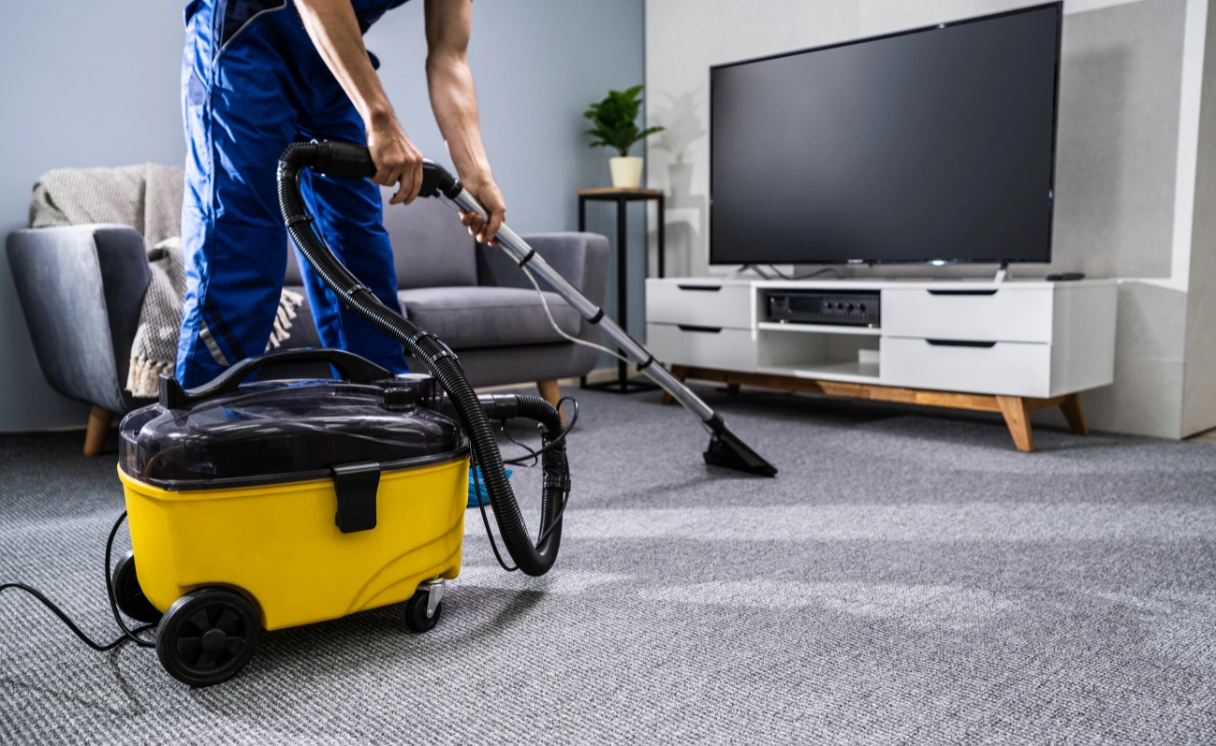 Extract Upholstery Cleaning Norlane Contact Office